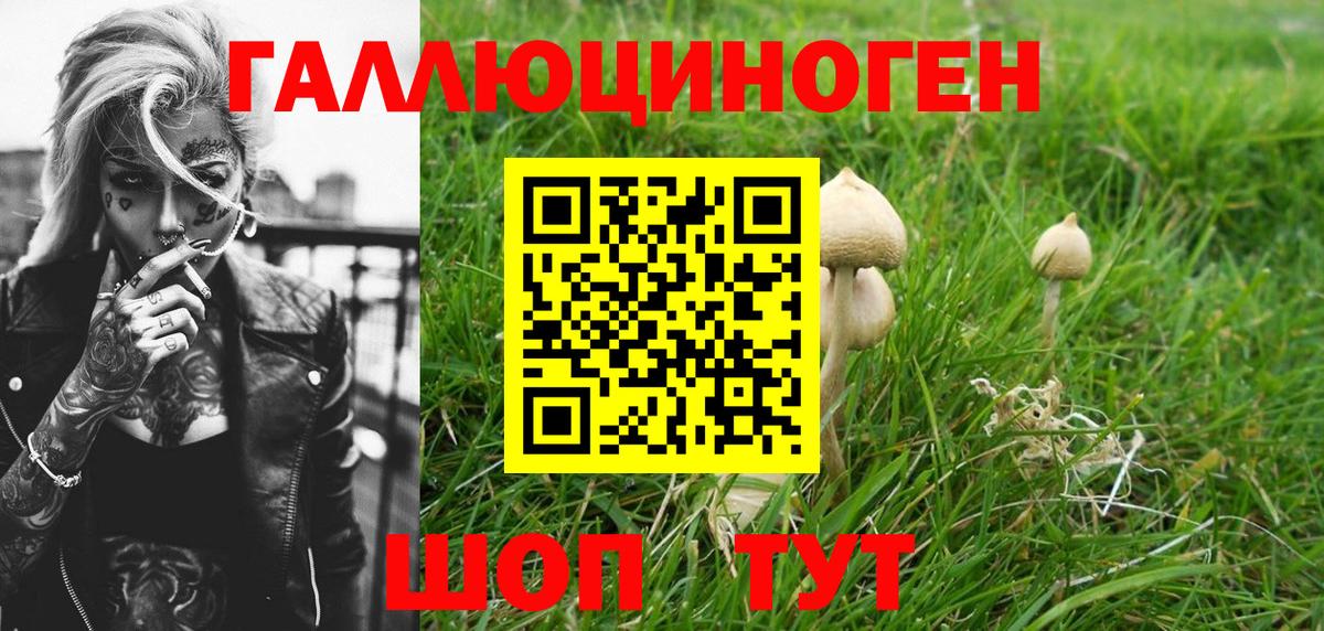 Псилоцибиновые грибы Psilocybine cubensis  Вход с VPN  где продают   Таганрог 